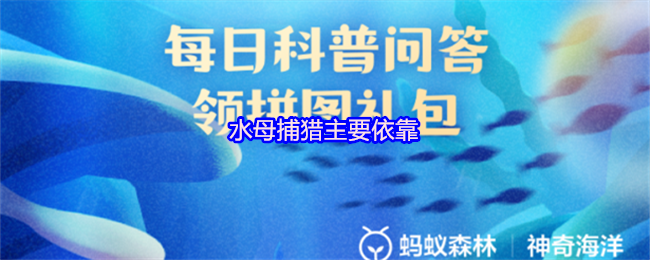 水母捕猎主要依靠(图1)