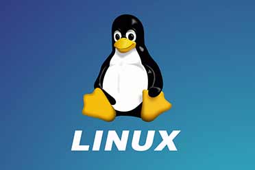 Linux之父竟还在用RX 580显卡!调侃其“古老而无趣”