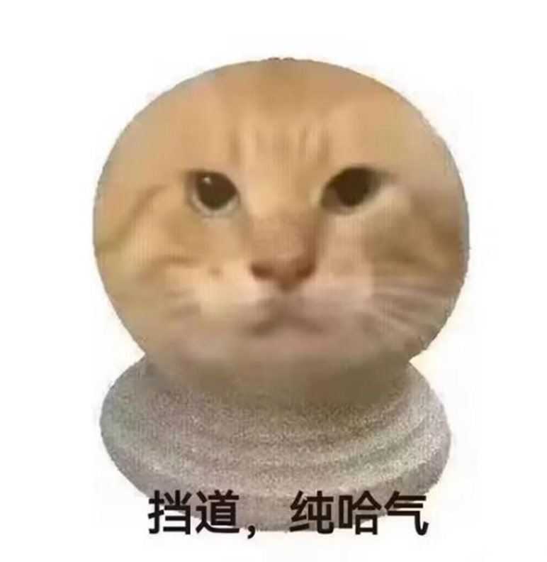 当代网友的新XP竟是站街、不卖、还挡道的石墩子？(图15)