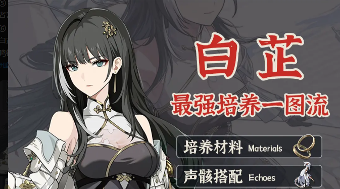 鸣潮2.5版本白芷培养攻略(图1)