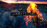 csgo枪械名字怎么改超长