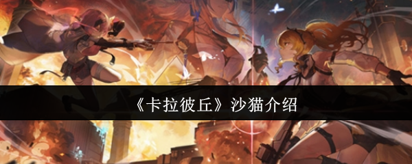 《卡拉彼丘》沙猫介绍