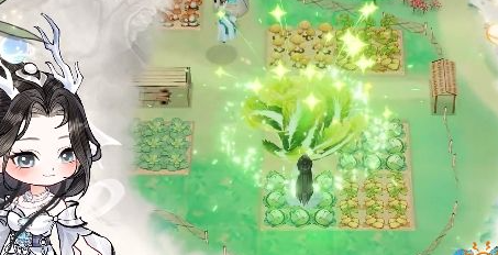 《华夏千秋》好感度提升方法(图5)