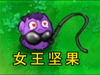 植物大战僵尸逆天版(图9)