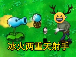 植物大战僵尸逆天版(图11)