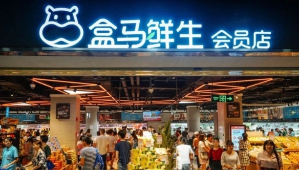 盒马创始团队集体谢幕！最后一位联合创始人离职(图1)