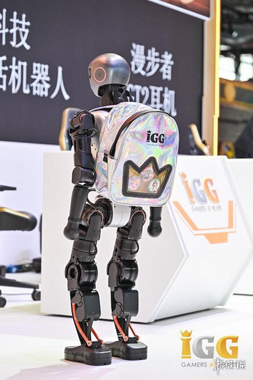 韩国人气Coser闪耀展区，会玩梗的IGG承包了2025ChinaJoy玩家的所有尖叫(图29)