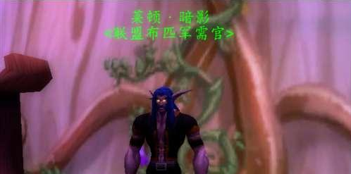 魔兽世界怀旧服暗夜精灵刷声望攻略2