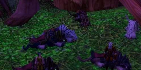 魔兽世界怀旧服暗夜精灵刷声望攻略5