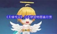 《天缘传说》小天使宠物图鉴欣赏