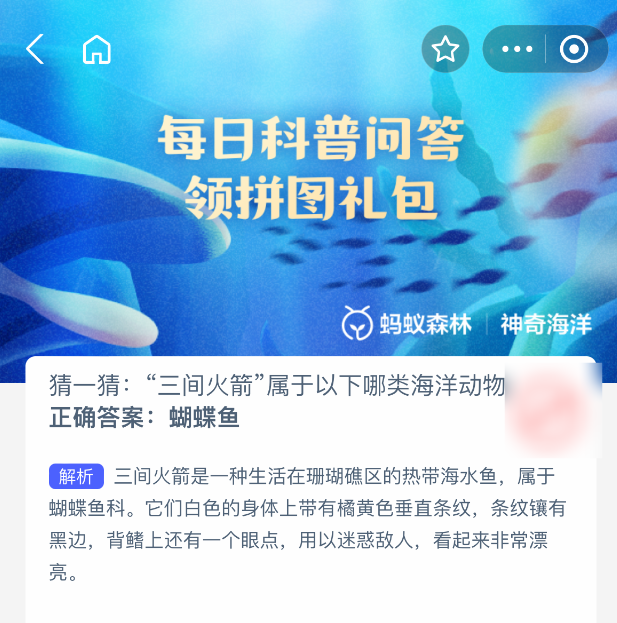 猜一猜间火箭属于以下哪类海洋动物(图2)