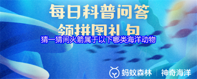 猜一猜间火箭属于以下哪类海洋动物(图1)