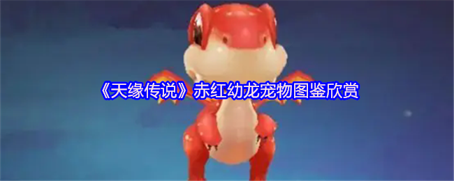 《天缘传说》赤红幼龙宠物图鉴欣赏(图1)