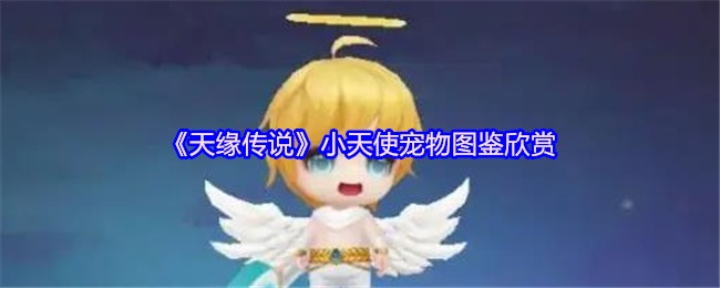 《天缘传说》小天使宠物图鉴欣赏(图1)