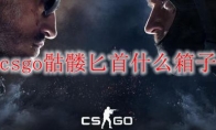 csgo骷髅匕首什么箱子
