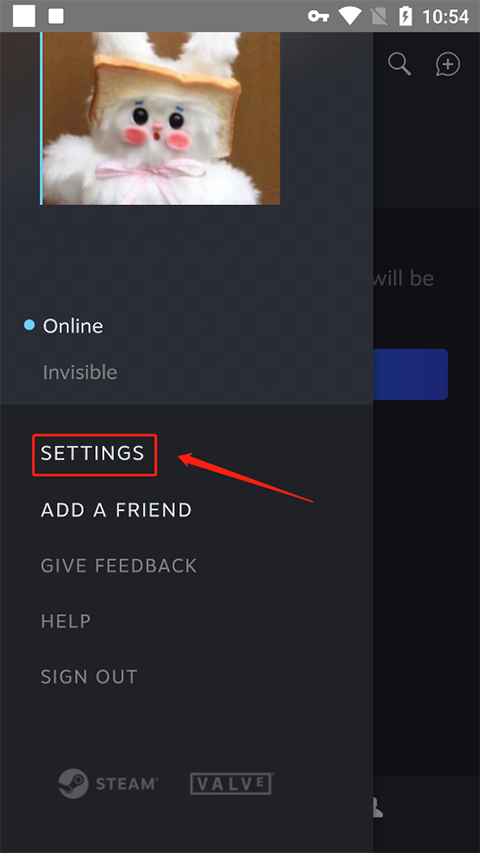 Steam Chat 手机版(图3)