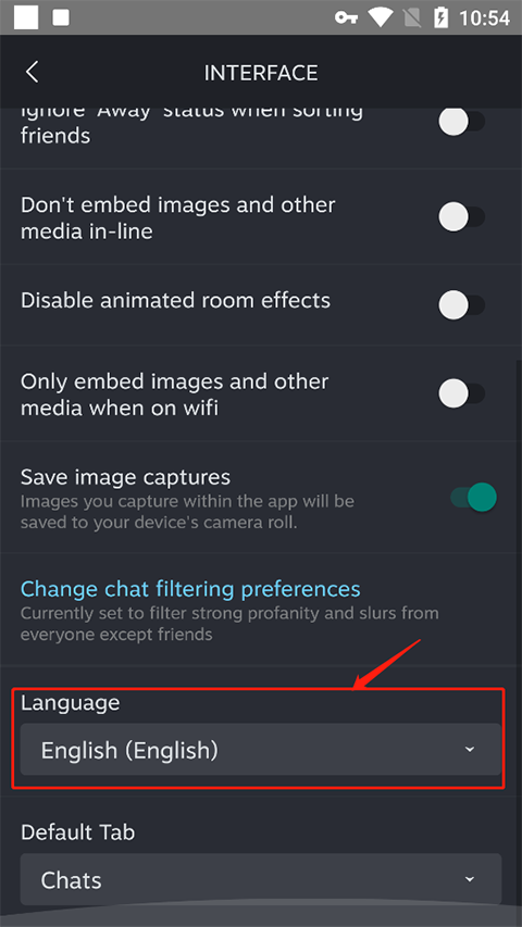 Steam Chat 手机版(图5)