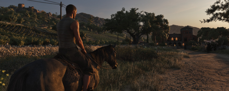 《四海兄弟：故乡》帧数低闪退问题解决方法介绍