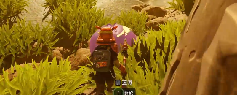 《禁闭求生2》蓝莓获得位置介绍