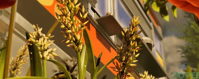 《禁闭求生2》草籽获得位置介绍