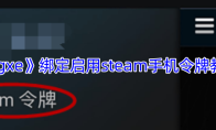 《igxe》绑定启用steam手机令牌教程