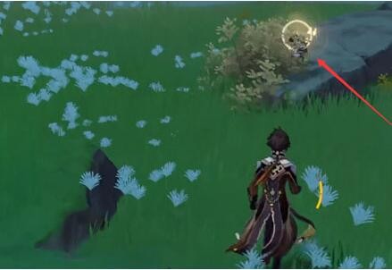 原神稻妻狸猫在哪里(图3)