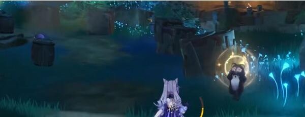 原神稻妻狸猫在哪里(图10)