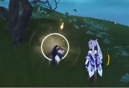 原神稻妻狸猫在哪里(图13)