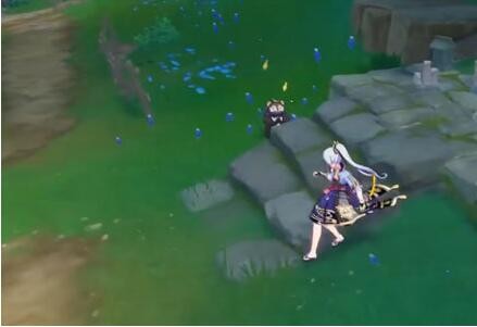 原神稻妻狸猫在哪里(图17)