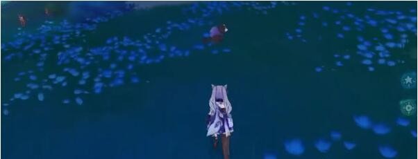 原神稻妻狸猫在哪里(图19)