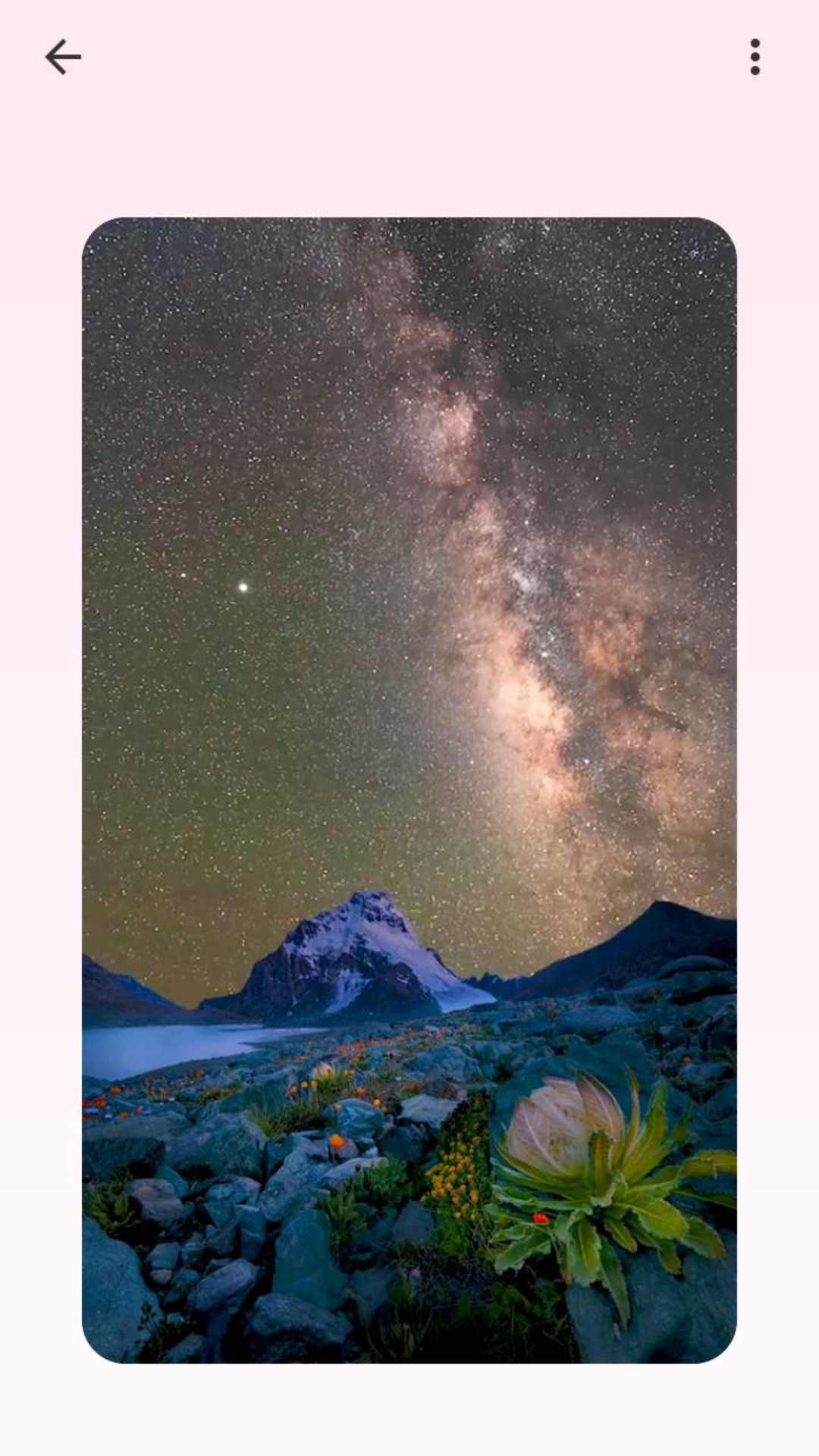 
吐司壁纸 免费版本