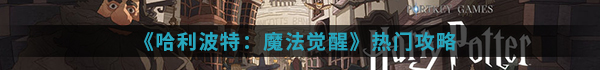 哈利波特：魔法觉醒 2025最新版(图5)