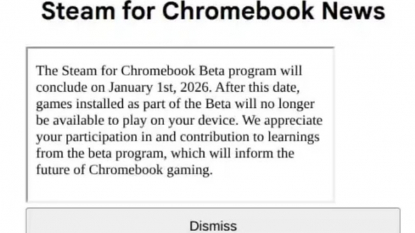 Steam宣布终止Chromebook支持 2026年1月1日正式停服(图2)
