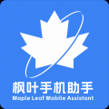 枫叶助手app