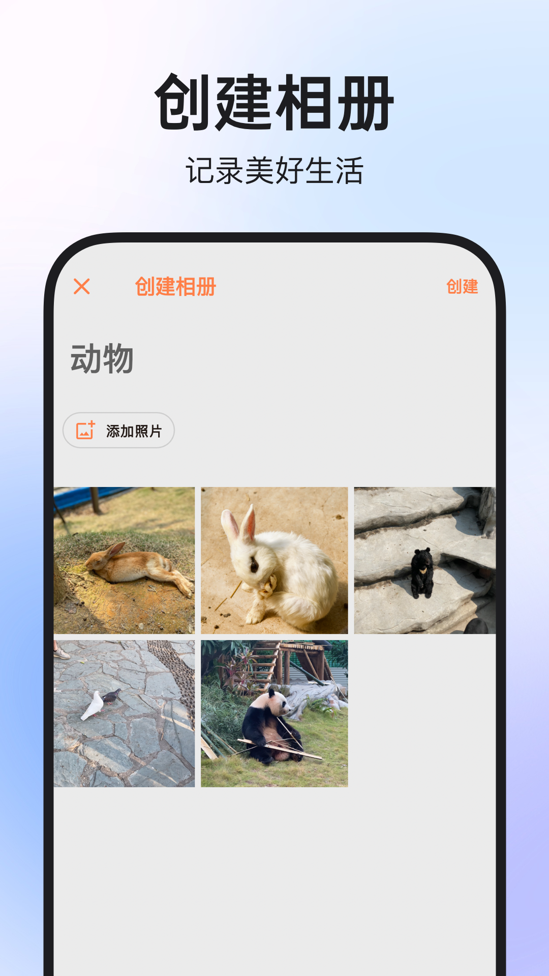 
图公主app
