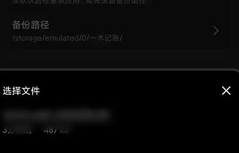 一木记账永久会员