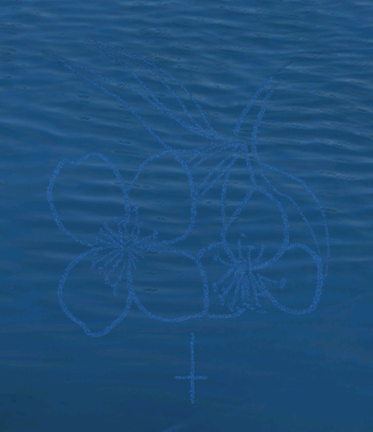 纸祭第五章攻略 纸祭第五章通关详细攻略(图13)