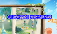 《灵兽大冒险》宠物选择推荐