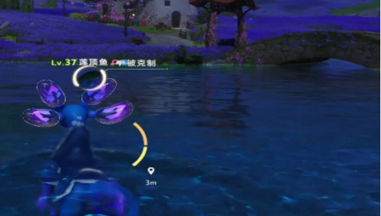 《伊莫》女巫草介绍(图5)