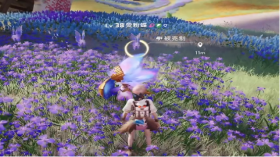 《伊莫》女巫草介绍(图3)