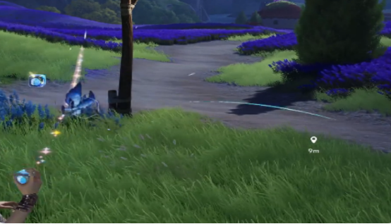 《伊莫》女巫草介绍(图4)