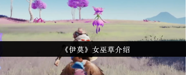 《伊莫》女巫草介绍