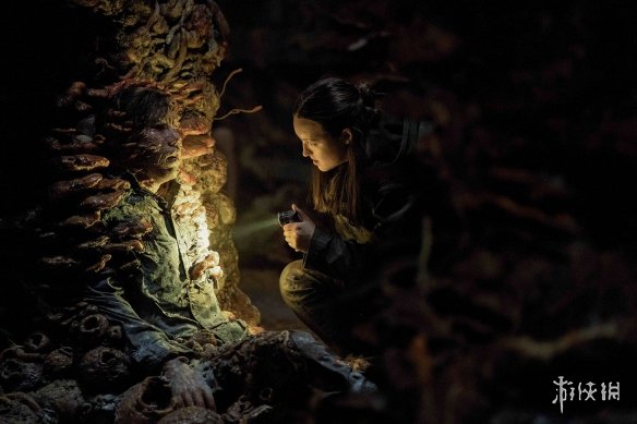 《最后生还者 第二季》剧集数字租赁和销售服务开启(图2)