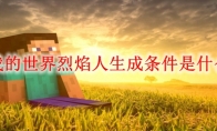 我的世界烈焰人生成条件是什么
