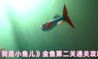 《我是小鱼儿》金鱼第二关通关攻略