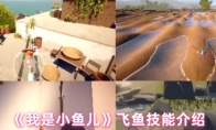 《我是小鱼儿》飞鱼技能介绍
