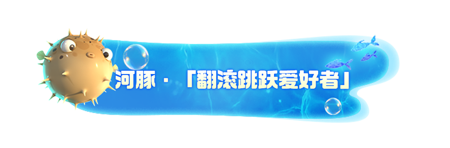 《我是小鱼儿》四大鱼类一览