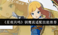 《星痕共鸣》驯鹰流适配技能推荐