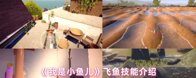 《我是小鱼儿》飞鱼技能介绍