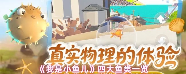 《我是小鱼儿》四大鱼类一览